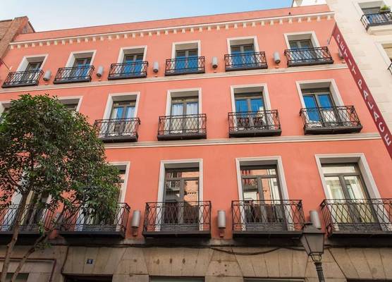 Petit Palace Tres Cruces 1