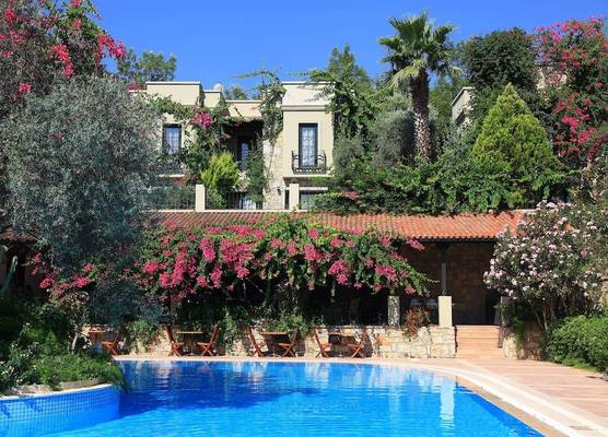 Zeytinada Hotel 1
