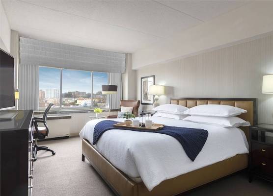 The Stamford Hotel 1