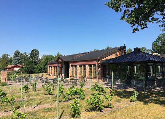Åmund Vin & Fruktgård 1