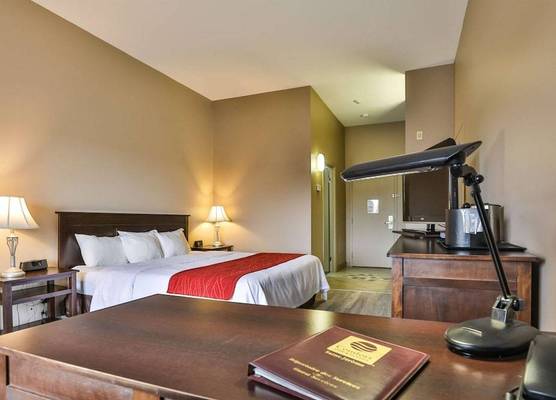 Comfort Inn & Suites 1