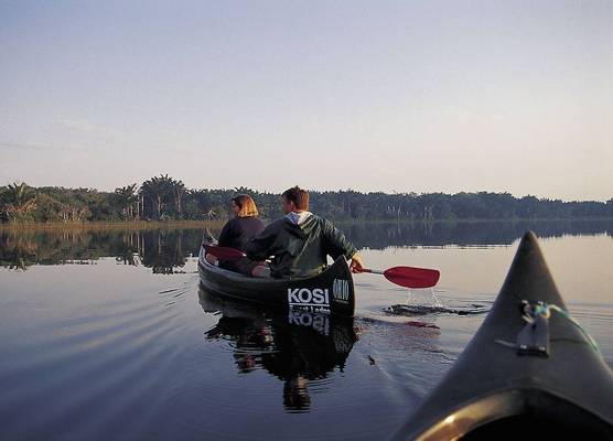 Kosi Forest Lodge 1