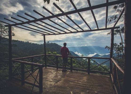After the Rains - Rainforest Lodge, Wayanad 1