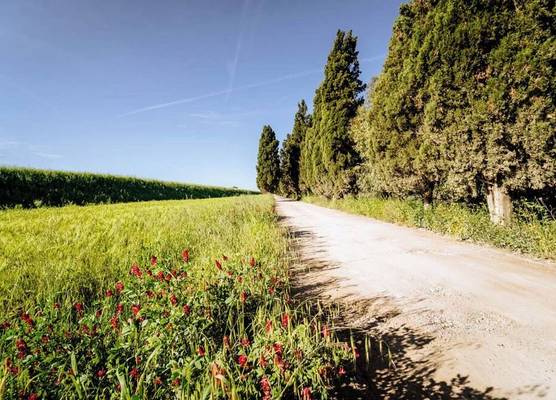 Agriturismo Bio San Mamiliano 1