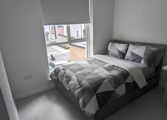 Private Rooms in a Peaceful Neighborhood 1