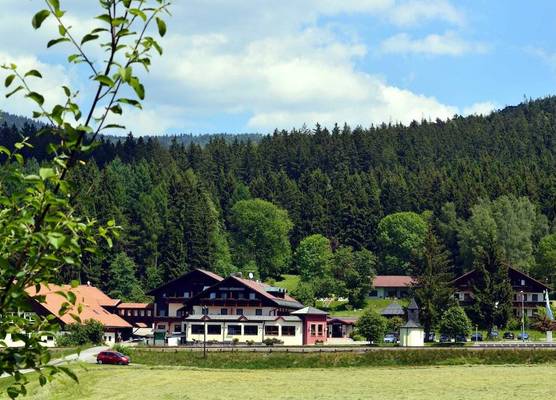 Wellness- und Vitalhotel Böhmhof 1