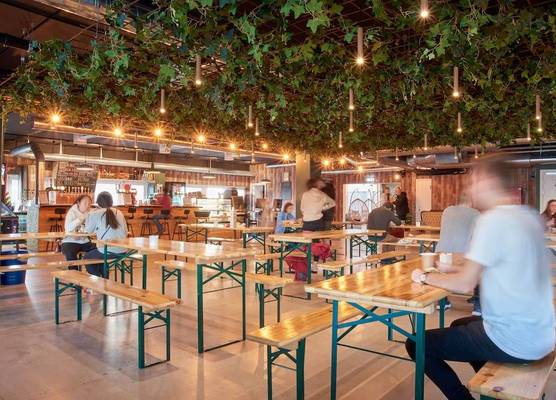 Urban Camper Hostel & Bar 1