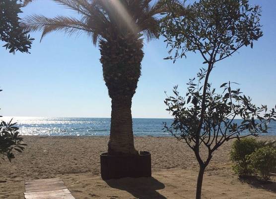 Hotel Avra 1