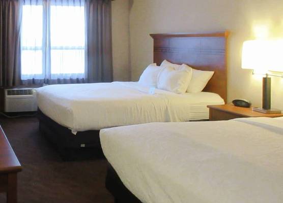 Quality Inn & Suites Detroit Lakes 1