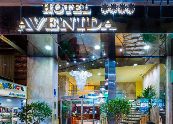 Hotel Avenida 1
