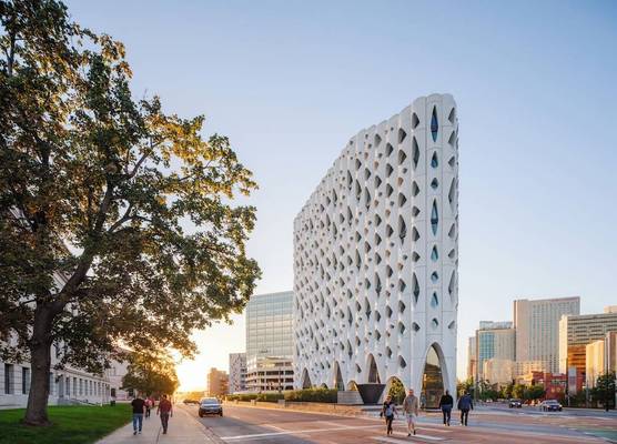 Populus Denver 1