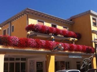 Hotel Al Mare 1