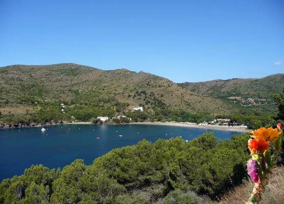 CAMPING CALA MONJOI 1