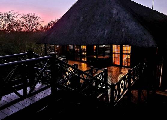 Lion Tree Bush Lodge 1