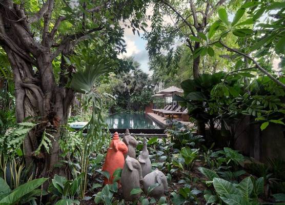 The Nature & Villas 1