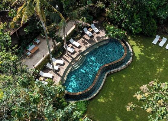 The Mesare Jungle Resort 1