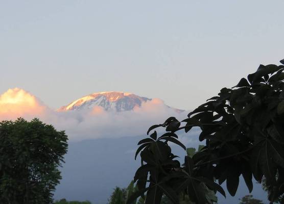 Kilimanjaro White House Hotel 1