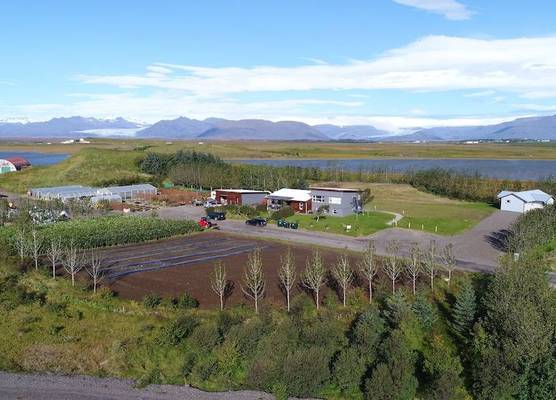 Dilksnes Guesthouse 1