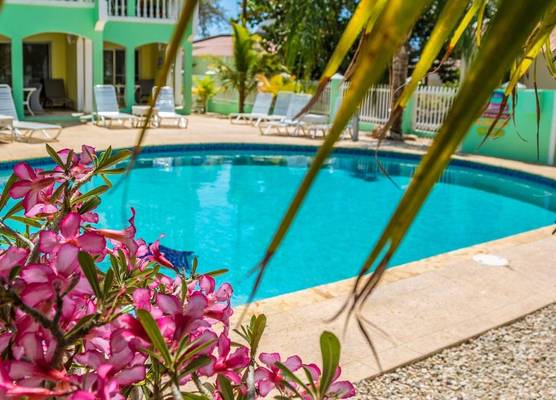 Coral Paradise Resort 1