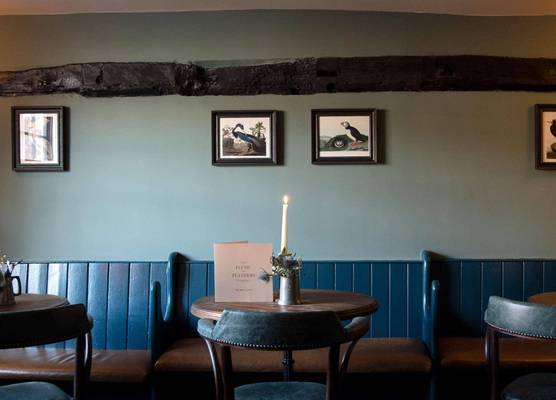 The Plume of Feathers 1