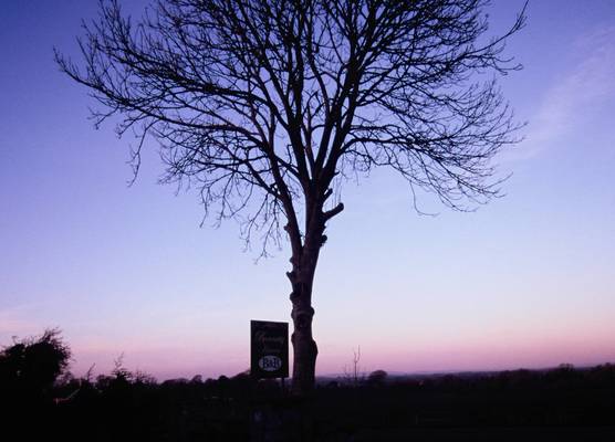 Bunratty Haven Bed & Breakfast 1