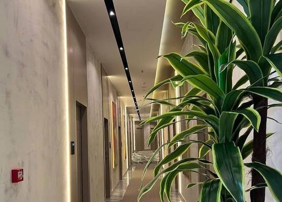 White Hill Hotel Spa & Conference 1