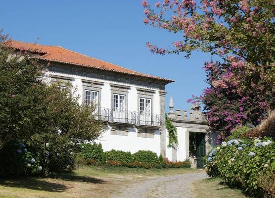 Paco d'Anha 1