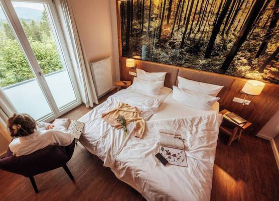Torfhaus Harzresort 1