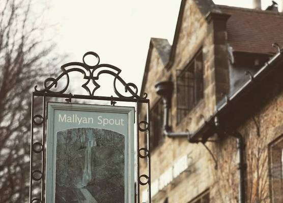 Mallyan Spout Hotel 1