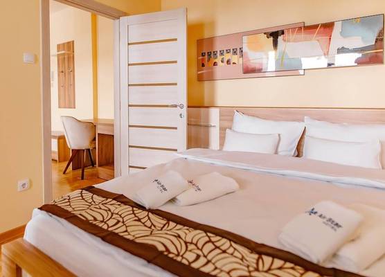 Hotel AirStar 1