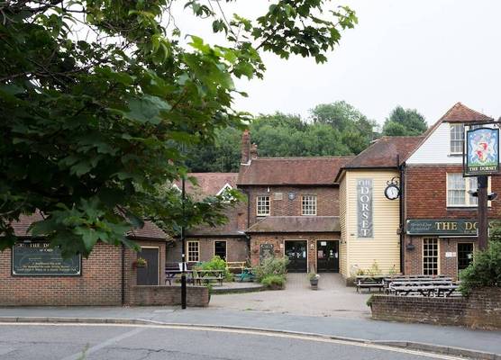 The Dorset 1
