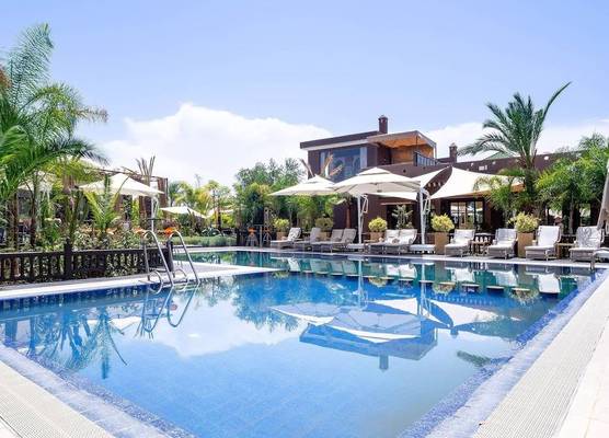 The Lemonary Marrakech 1