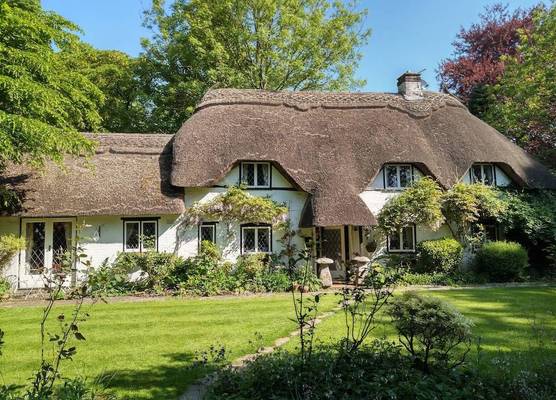 Thatched Eaves 1