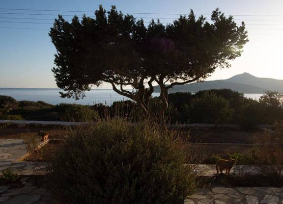 Oliaros Seaside Lodge 1
