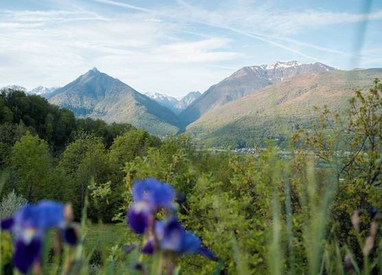 Lodge du Hautacam 1