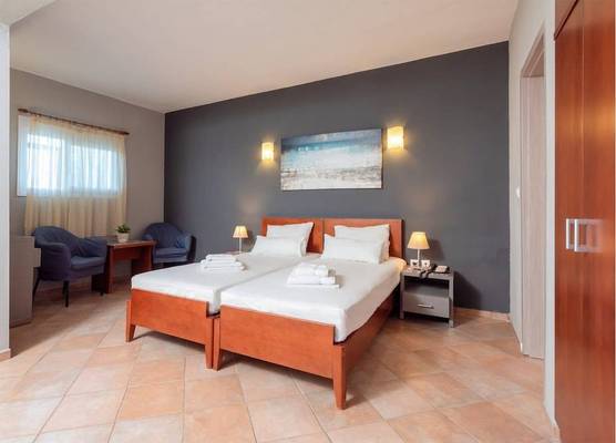 Two Bedroom Apartment at Ampelia Hotel Kassandra 1