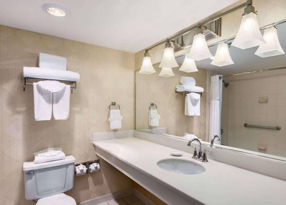 Wyndham Garden Dallas North 1