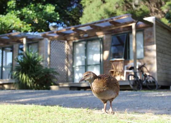 Russell-Orongo Bay Holiday Park 1