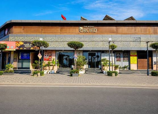 The Royal Orchid 1