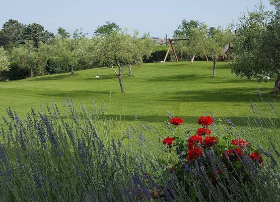 Agriturismo Il Migliarino 1