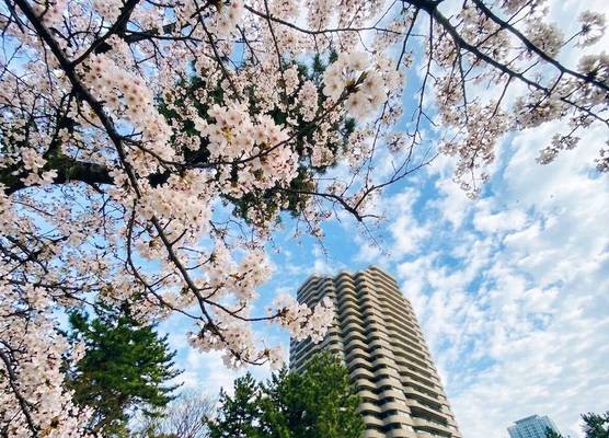 Tokyo Marriott Hotel 1