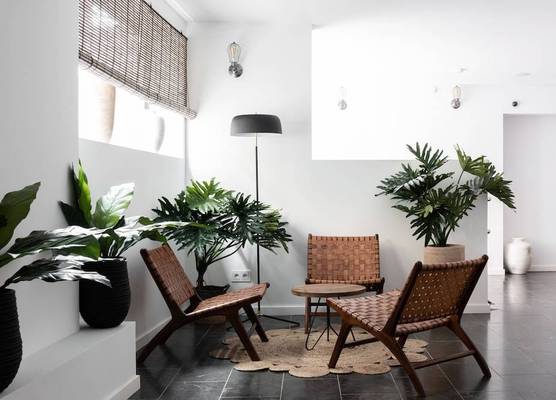 Terreno Suites 1