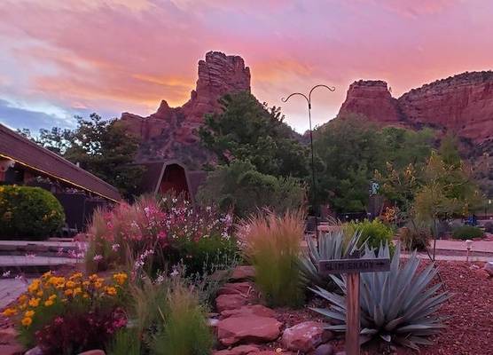 Red Agave Resort 1