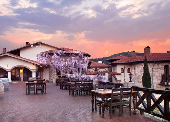 Vinifera Vineyards Hotel 1