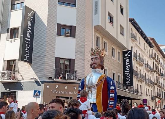 Habitus Hotel Leyre 1