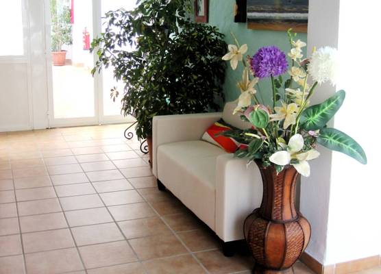 Hotel Oasis Atalaya 1