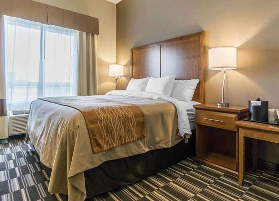 Comfort Inn & Suites Edmonton International Airport 1