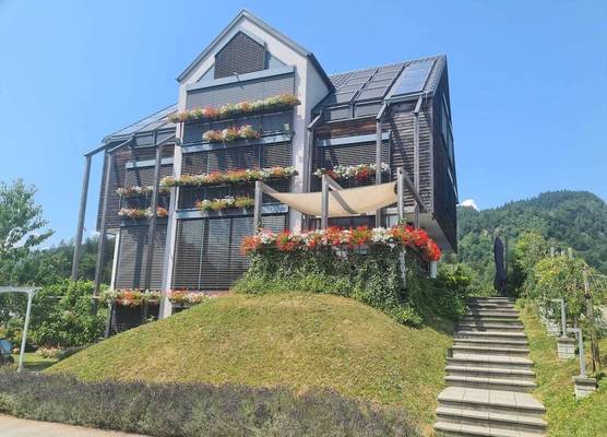 eco boutique hotel AMS Beagle 1