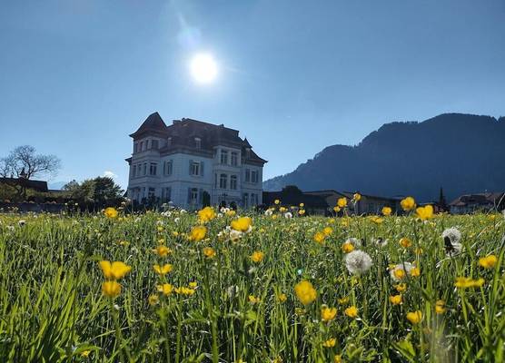 Adventure Hostel Interlaken 1
