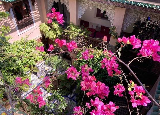 Riad Toyour- Riad of birds 1